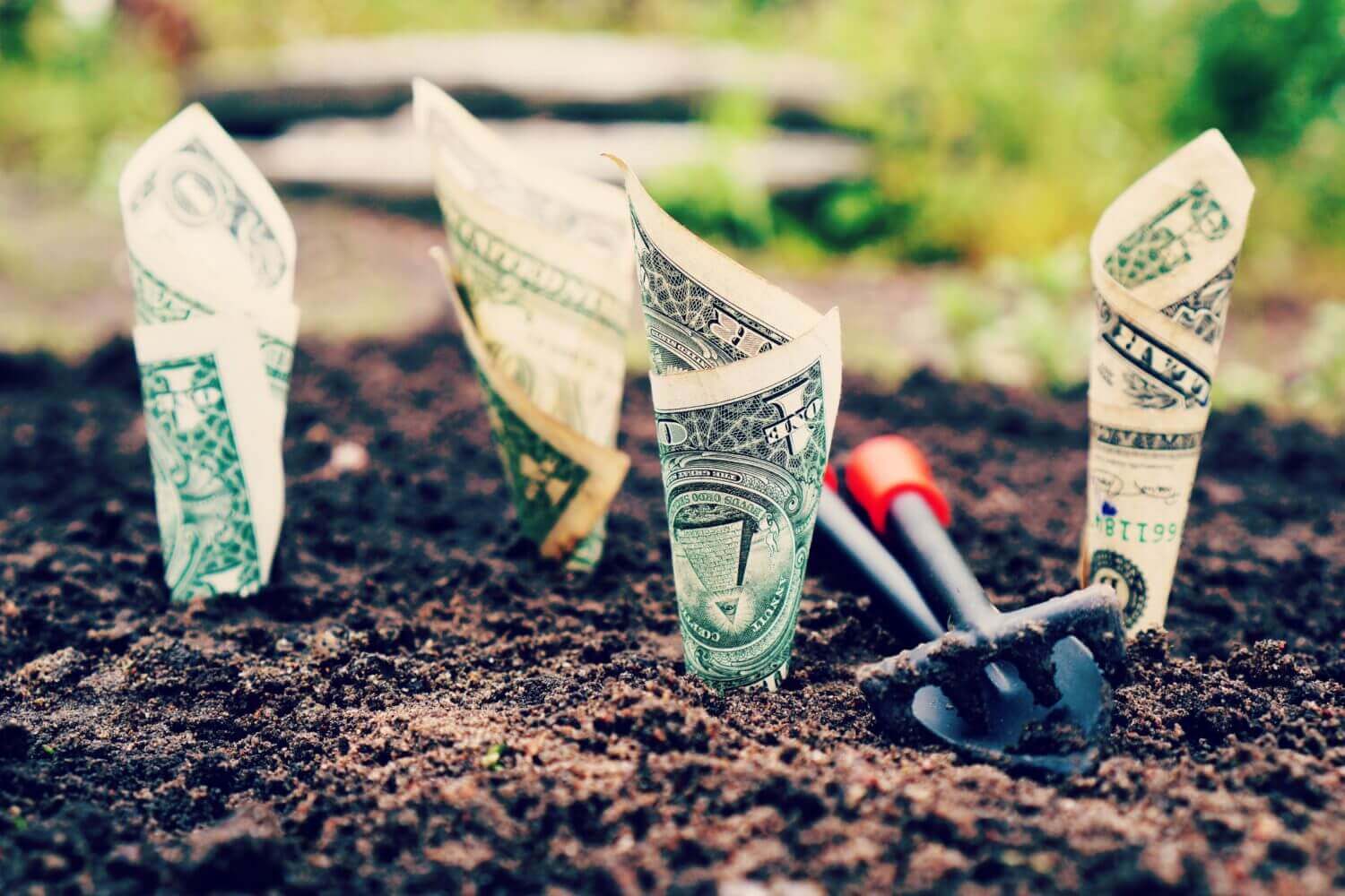 Insurance Is Not An Investment